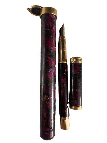Penna stilografica waterman - penna,