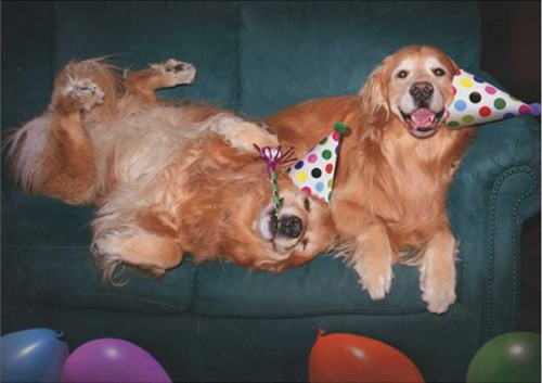 Cartolina compleanno you my - cartolina, you're