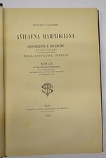 ORNITOLOGIA -  figur. 1894 -  AVIFAUNA marchigiana - Fano 