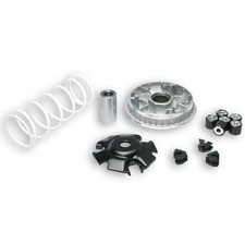 VARIATORE MALOSSI PER HONDA