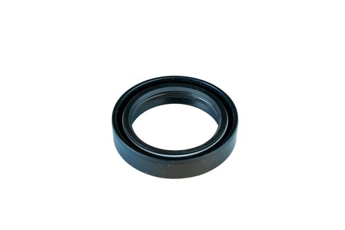 Paraolio forcella yamaha max - paraolio,