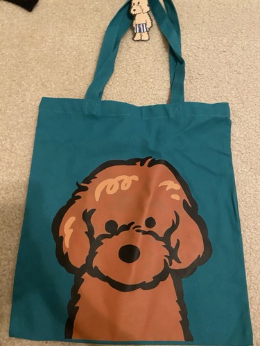 Barboncino giocattolo cavapoo - barboncino,