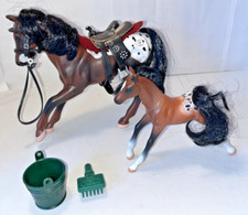 Grand Champions Cavallo