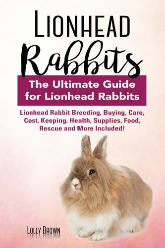 Lionhead rabbits - rabbits:,
