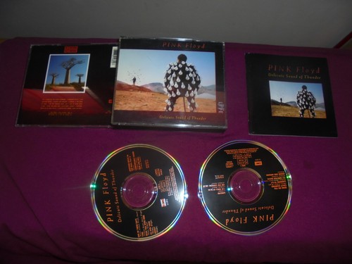 Pink floyd delicate sound - floyd,