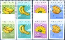 Nord. Frutta. Banana 1970.