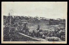 NARZOLE CUNEO CARTOLINA