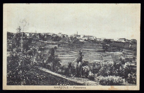 Narzole cuneo cartolina - narzole,