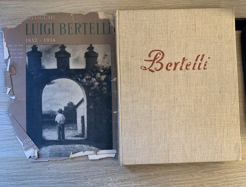Luigi bertelli nino - luigi,