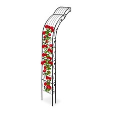 Arco semicircolare per - , rose