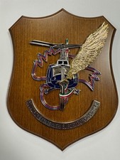 Crest  Militare Squadrone