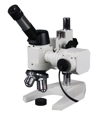 Radical 600x laboratorio - radical,