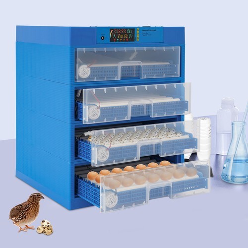 Incubatrice pollame hatcher - incubatrice,