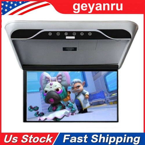 Monitor tetto auto ribaltabile