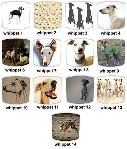 Paralumi abbinare whippets - da,
