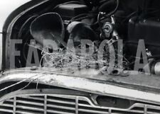 Foto vintage Uccelli, Tordi fanno il nido su un'auto rotta, Stampa 21 x 15 cm