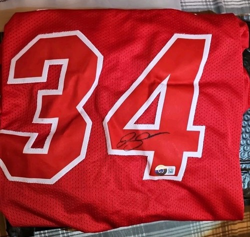 Maglia basket ray allen - maglia,