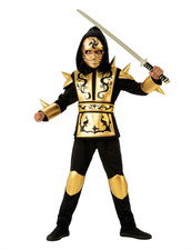Costume Ninja