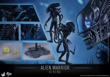 hot toys 1/6 Alien mms 354