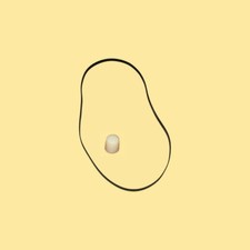 Timbro di controllo cinghia piatta per giradischi Dual CS 455 Turntable