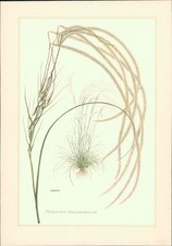 Stampa artistica - stampa