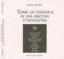 Come un cinghiale in una