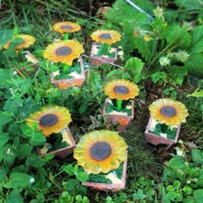 8x LED Esterni Decorazione Giardino Fiori Lampada Solare Veranda Balcone Cortile