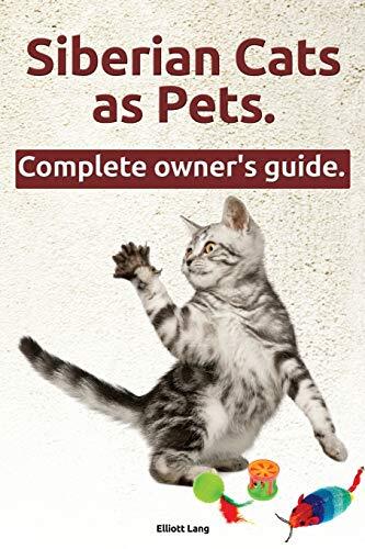 Siberian cats pets - siberian,