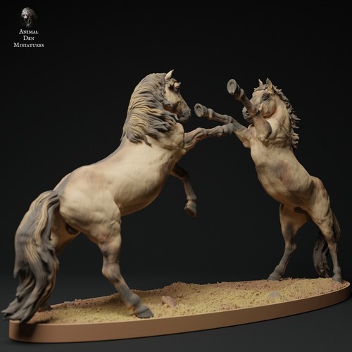 Cavalli che lottano - che, horses