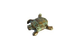 Akan tartaruga marina ottone