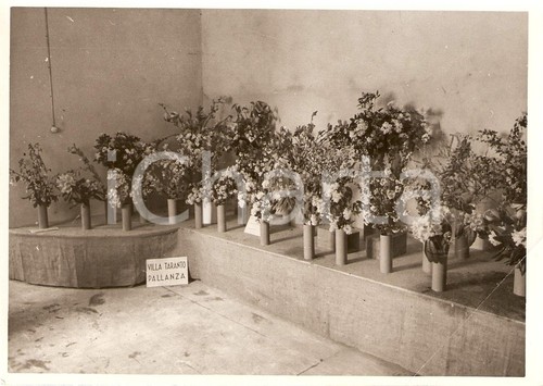 1938 roma mostra villa umberto - mostra,