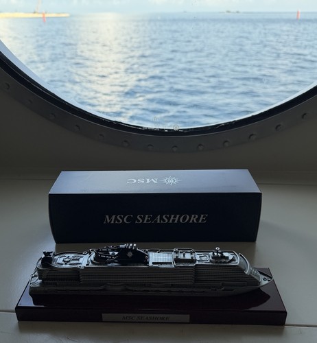 Modello nave msc seashore - nave,