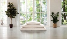 Due Cuscini In Pura Lana