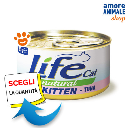 Life cat natural - life, kitten