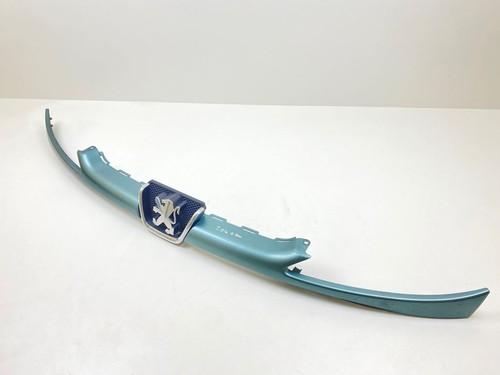 Griglia radiatore anteriore
