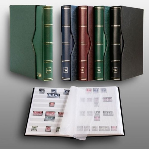 Prophila classificatori - , 60