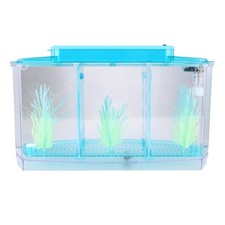 (blu)Acquario Pesciera LED