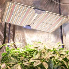 Phlizon 2000W LED Grow Light