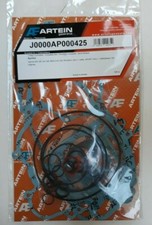 ARTEIN Kit Guarnizioni Motore