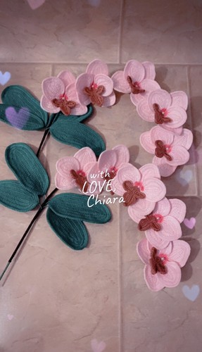 Orchidea uncinetto - ,