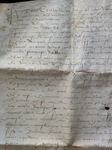Pergamena manoscritto epoca - manoscritto,