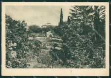 Arezzo Chitignano FG cartolina ZK0783