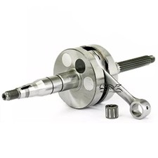 ALBERO MOTORE CARENZI SPALLE