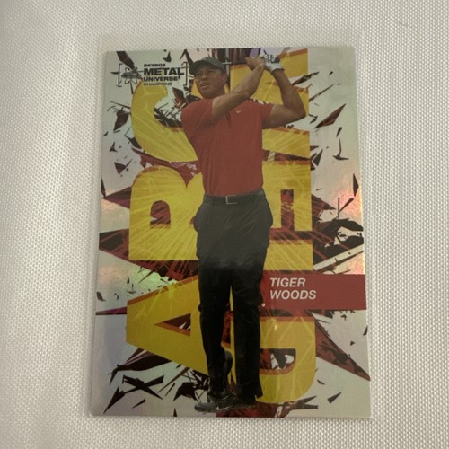 Tiger woods 2021 - tiger,