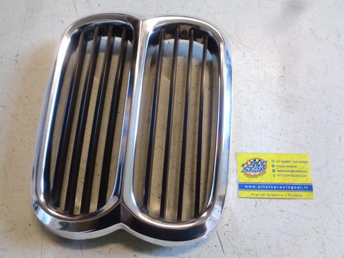 Scudo griglia mascherina - scudo,