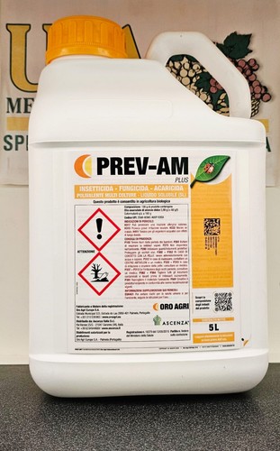 Prev plus ascenza - prev‑am, 1