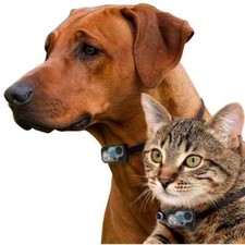 Collare elettronico ad