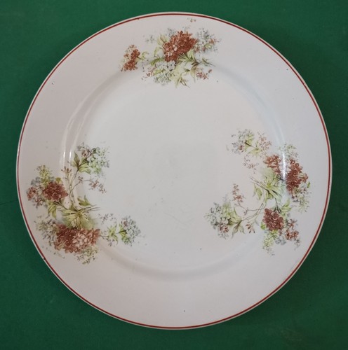Florio ceramica piatto piano - ceramica/,