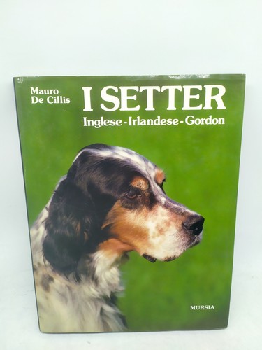 Mauro cillis setter - mauro, de