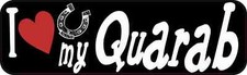 10in x 3in I Love My Quarab